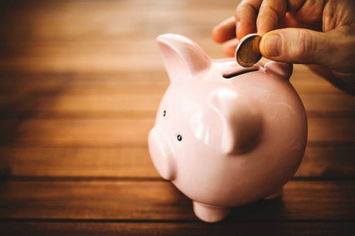 Savings saves spending savemoney saver sfi if painful