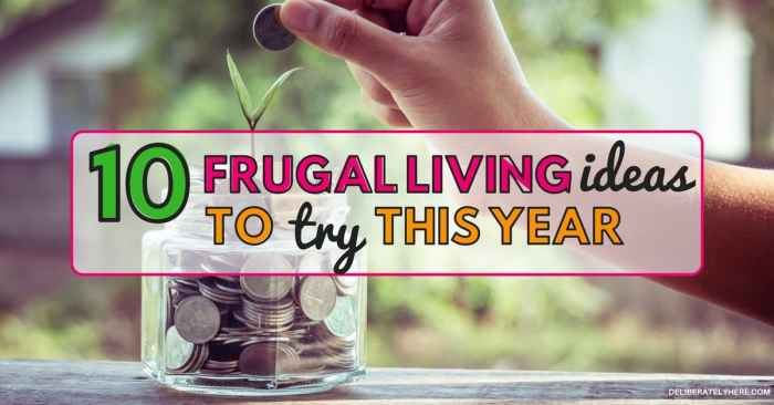 Frugal try living year