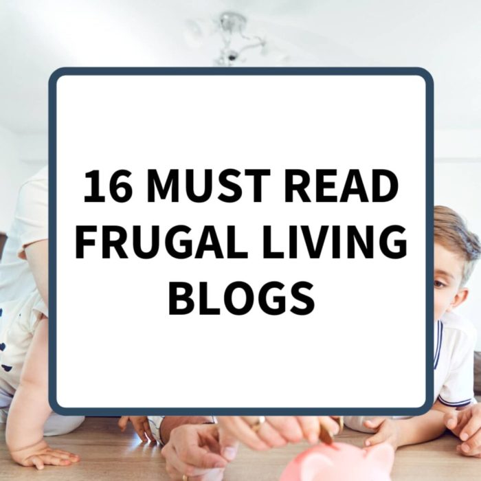 Frugal and simple living blog
