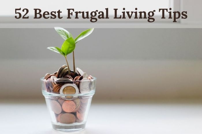 Best budget tips frugal living
