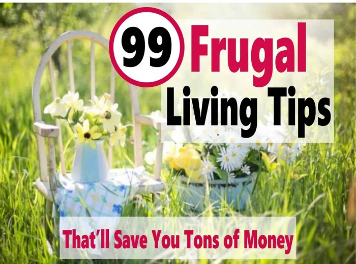 Living simple frugal