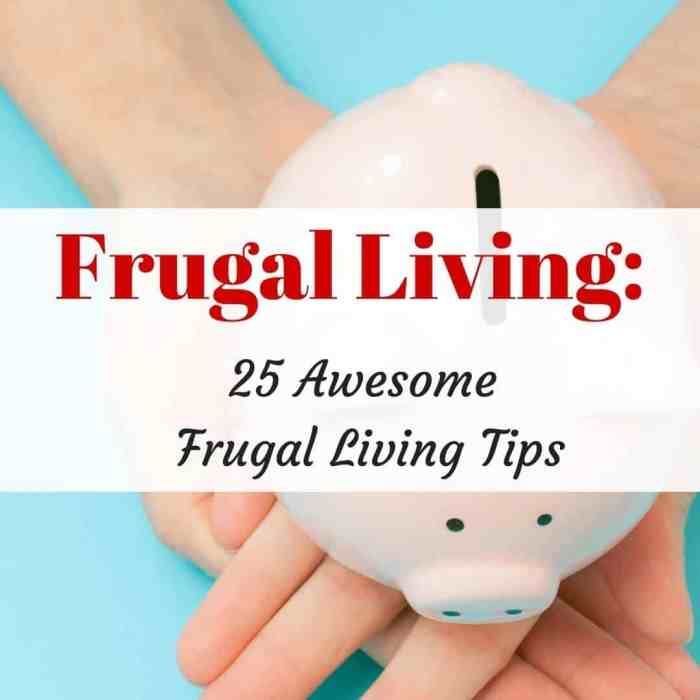 Best budget tips frugal living
