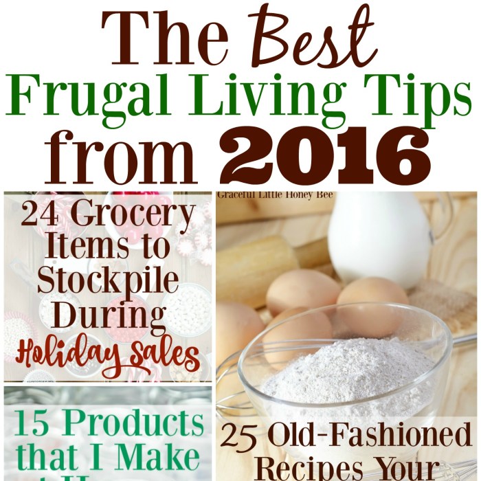 Frugal living blogs uk